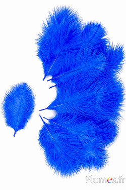 Struzzo Bellies - 8-13 cm - blu 